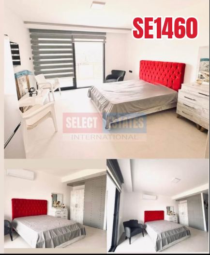 Furnished 1 Bedroom Apartment Sakarya, North Cyprus Properties for Sale